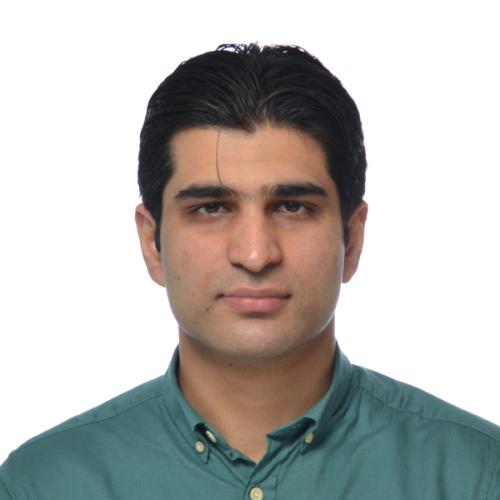 Rana Ali Amjad